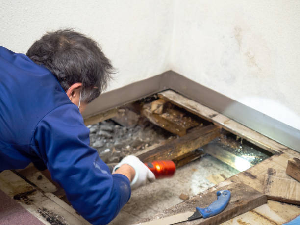 Best Crawl Space Mold Remediation in Malabar, FL
