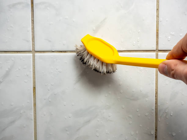 Best Bathroom Mold Remediation in Malabar, FL